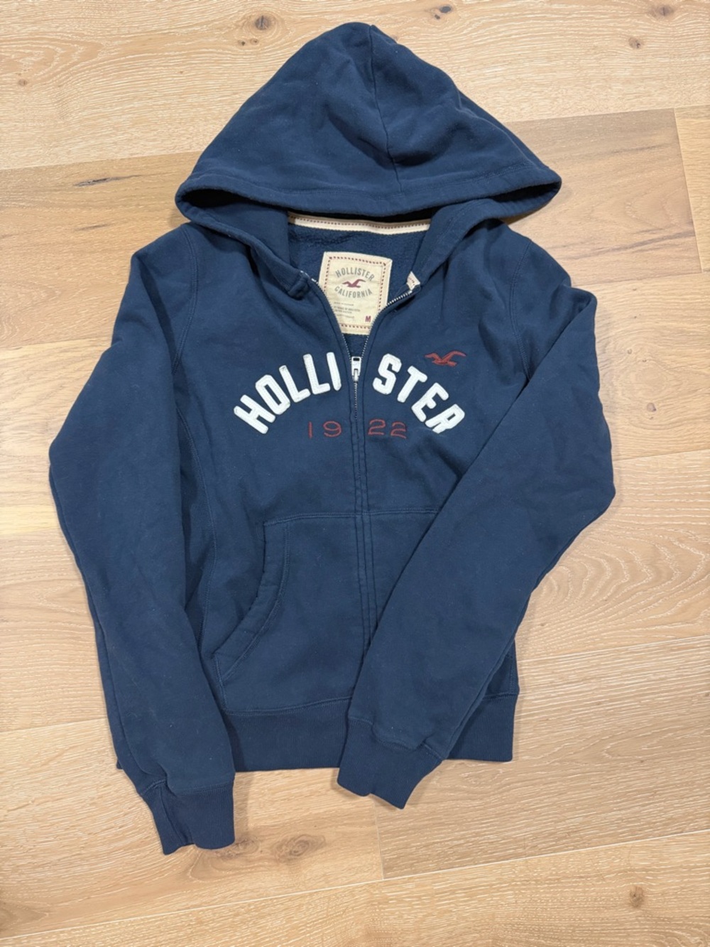 Hollister Y2K Capsule Collection Navy Hoodie